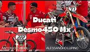 DUCATI DESMO450 MX | Italian motocross championship Mantova | Alessandro Lupino & Antonio Cairoli