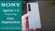 Xperia 1V - First impressions + Case with stand review