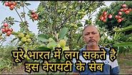 Best Apple variety for all over India