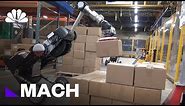 Boston Dynamics Robot Can Stack Boxes With Amazing Ease | Mach | NBC News