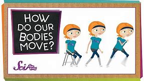How Do Our Bodies Move?