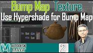 How to do Texture Bump Mapping in Autodesk Maya | Bump Maps Lambert Blinn material | Lesson-2