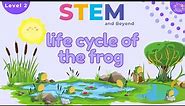 Life Cycle of a Frog | KS1 Science Year 2 | STEM Home Learning