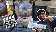 We never expected SO MUCH good fortune! | Imado Cat Shrine, Tokyo, Japan