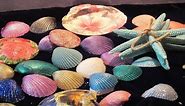 DIY 5 Ways to decorate seashells shells