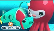 Octonauts - The Elusive Giant Squid | Full Episode 6 | Cartoons for Kids | Underwater Sea Education