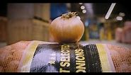 LC Packaging - Journey of an Onion Bag