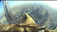 Dubai World Record Eagle Flight