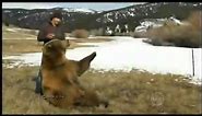 Dude Rides a Grizzly Bear.. Epic