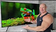 2021 LG B1 OLED,the BEST things about it !