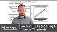 Aerobic Capacity (VO2max) and Anaerobic Thresholds