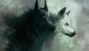 Wolf Wallpapers 🐺🐺🐺 Wallpapers Photo