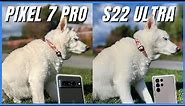 Pixel 7 Pro vs Galaxy S22 Ultra Camera Comparison