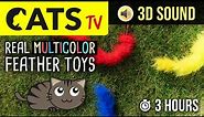 CATS TV - REAL Multicolor Feather Cat Toys 😻 3 HOURS 60fps [FOR CATS ONLY]