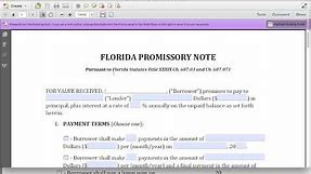 How to Write a Florida Promissory Note | PDF & Word