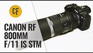 Canon RF 800mm f/11 IS STM lens review with samples