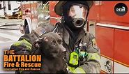The Battalion Fire and Rescue TV Series Washington DC | Season 2 Ep 25 | Down The Rabbit Hole