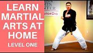 Best Martial Arts To Learn At Home