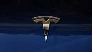 Jusqu’où ira la progression de Tesla en France?
