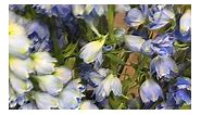 Blue Delphinium #delphinium #Snapdragon #florist #floristry | Pinky Mallorca Heiliger