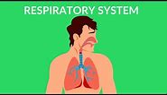 Respiratory System | How we breathe | Video for kids