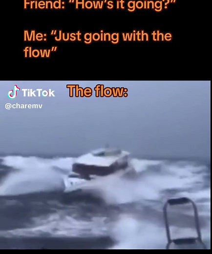 Going with the Flow: Funny Meme Moments