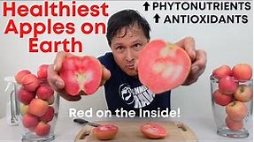 The Healthiest Apple on Earth: Taste Testing Red Fleshed Apples