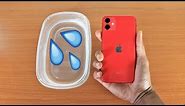 Apple iPhone 11 Water Test
