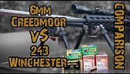 6mm Creedmoor vs 243 Winchester "Comparison"