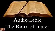 The Book of James - NIV Audio Holy Bible - High Quality and Best Speed - Book 59