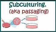 Sub-culturing cells || Cell culture basics