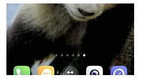 baby panda live wallpaper
