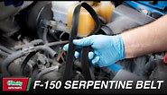 How To: Replace the Serpentine Belt, Tensioner, and Idler Pulley on a 2009 to 2014 Ford F-150