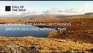 Experience the Bannau Brycheiniog (Brecon Beacons) National Park