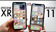 iPhone 11 Vs iPhone XR In 2022! (Comparison) (Review)