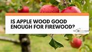 Is Apple Wood Good Enough For Firewood? | The Woodwork Place