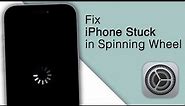 How to Fix iPhone Black Screen Spinning Wheel! [2023]