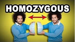 Learn English Words: HOMOZYGOUS - Meaning, Vocabulary with Pictures and Examples