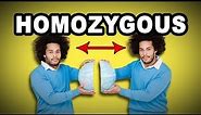 Learn English Words: HOMOZYGOUS - Meaning, Vocabulary with Pictures and Examples