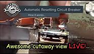 How auto resetting circuit breakers works LIVE cutaway showing inside breaking and resetting! #viral