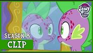 Spike Breaks Out in Stone Scales (Molt Down) | MLP: FiM [HD]