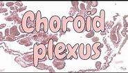 Choroid plexus - nervous system histology