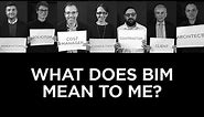 What Does BIM Mean To Me? | The B1M