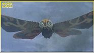Mothra | Mothra Searches For The Girls | Creature Features