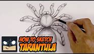 How To Draw A Spider | Tarantula Sketch Tutorial