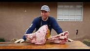 HOW TO CLEAN THE SKULL OF A 600 POUND PIG