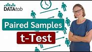 Paired Samples T-Test (How to calculate and interpret)