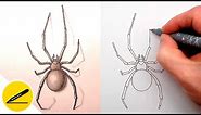 How to Draw a Spider Step by Step - Drawing Tutorial Video