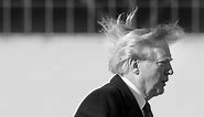 Behold! the gruesome reality of Trump's hair is finally known.