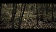 Tense Horror Music No Copyright Loop "Scary Forest"